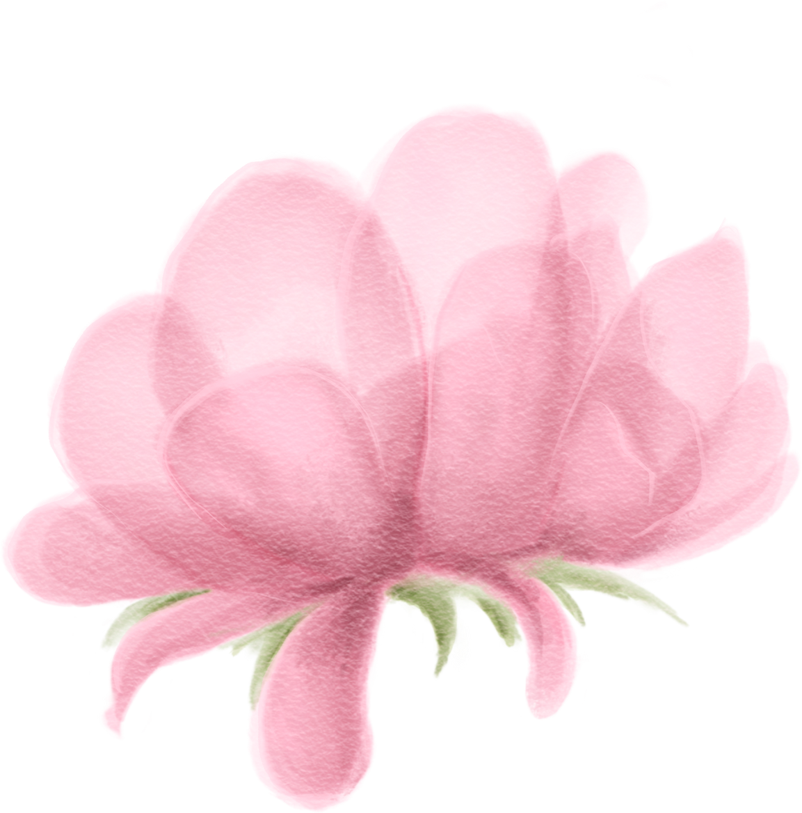 Watercolor pink flower